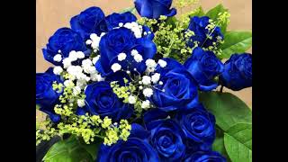 Blue Velvet Roses are Symbols of Mystery and Rarity [upl. by Notna]