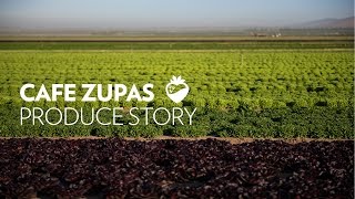 Cafe Zupas Our Produce Story [upl. by Ulyram]