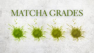 Matcha Grades Explained  Ceremonial Matcha vs Culinary Matcha [upl. by Oiram]