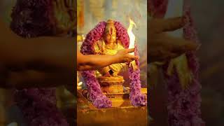 Ayyappa swamy whatsapp statu in Telugu ayyappaswamymyheartbeat swamysaranam shivarajuJan19 [upl. by Beaudoin]