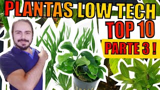 🔴 TOP 10 PLANTAS mais FÁCEIS para AQUÁRIOS  PARTE 3 [upl. by Aerdnaek561]