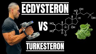 ECDYSTERON vs TURKESTERON  Nebenwirkungsfreie Anabolika [upl. by Ubana]