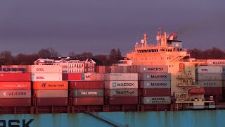 Shipspotting in Hamburg Germany Container Ship Maersk Sembawang departing on the Elbe River [upl. by Kevon]