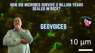 How did microbes survive 2 billion years sealed in rock [upl. by Anehs]