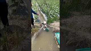 Powerful Irrigation Machine satisfying RomFarm [upl. by Dennard]