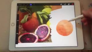 Procreate App Tutorial [upl. by Aaberg958]