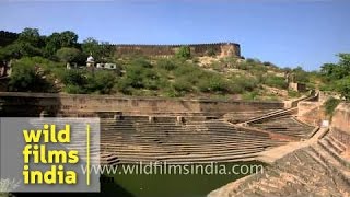 Step well of Nahargarh Fort  Rajasthan [upl. by Wilfreda116]