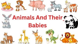 Animal with babies With spellingsSlow Version for Kids to learn Spellings ModernLearningLab [upl. by Eiramanel]