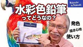 【水彩色鉛筆】プロ画家による「忖度なし」の徹底検証。  ファーバーカステル  発色  描き心地  描き方 [upl. by Chappelka]