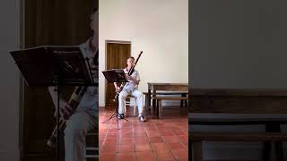 Wouter Verschuren plays Bach Menuet I amp II bwv 1008 arranged for bassoon [upl. by Nosa]