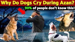 Why Do Dogs Cry During Azan [upl. by Neff838]