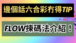 邊個話六合彩冇得tip？FLOW揀碼法20版 詳細講解！你吾識，咪冇得貼攞！ [upl. by Ravert]