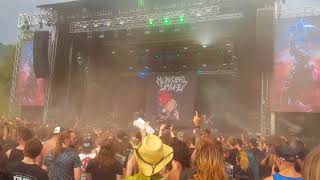 Municipal Waste  live at Metaldays 2018 pt 1 [upl. by Ahsika828]