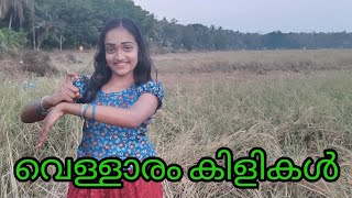 Vellaramkilikal  Mangalyasoothram  Dance Cover  Arathi [upl. by Kern]