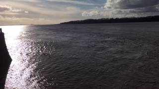 Fast outgoing tide at sharpness docks Berkeley Gloucestershire on the river Severn [upl. by Eladroc166]