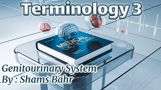 3 Genitourinary system  Terminology by Shams Bahr [upl. by Aelgna317]