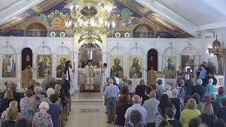 26 November 2024 St Stylianos Hierarchical Matins and Divine Liturgy with Metropolitan Seraphim [upl. by Teerprug]