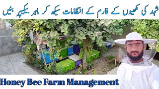 Honey bee Farm Management  Honey bees Farming  Apiculture [upl. by Bohi791]