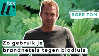 Bladluis bestrijden met brandnetel  Libelle Boer Tom [upl. by Ulises666]