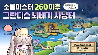 소울마스터 그란디스 뇌빼기 사냥터 빌드 메이플스토리 [upl. by Ailaroc680]