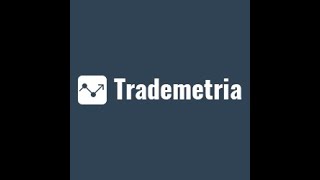 Which Trade Journal Software Is Top Trademetria Tradervue Tradersync orTraderviz [upl. by Purpura]