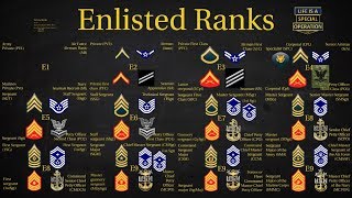 US Military All Branches ENLISTED Ranks Explained [upl. by Packer702]