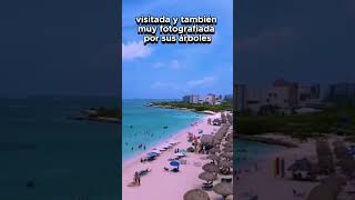 Llegamos a Eagle Beach en Aruba aruba crucero [upl. by Acinoda26]