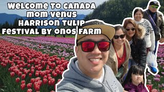 HARRISON TULIP FESTIVAL BY ONOS FAMILY 2024 [upl. by Adniroc]