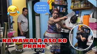 NAWAWALA ASO KO PRANK galit na galit sila [upl. by Pisarik]