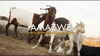 Kabza De Small amp Mthunzi  Amazwe feat MaWhoo Official Music Video [upl. by Niwdla420]