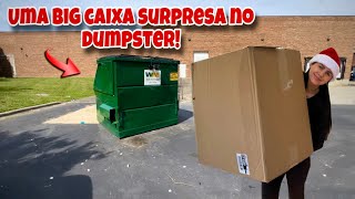 Uma big caixa surpresa no dumpster🇺🇸 [upl. by Dorweiler]