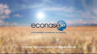 Econase XT  the hardest working xylanase [upl. by Vachill58]