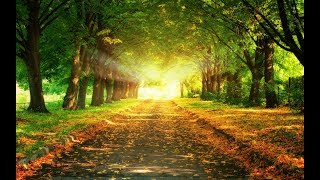 Neverending Road  Loreena McKennitt letra español [upl. by Rybma495]