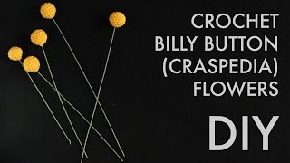 DIY Craspedia Billy Button Flowers [upl. by Nol]