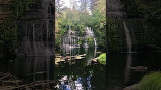 Camp Creek falls outside of Scottsburg Oregon oregonwaterfalls waterfall [upl. by Kram]