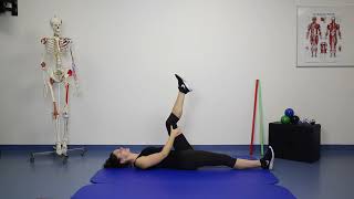 Onderrug  stretching hamstrings niveau 1 [upl. by Filberto]