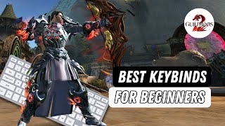 Beginner Keybinds and Settings Guide  Guild Wars 2 [upl. by Oflodur]