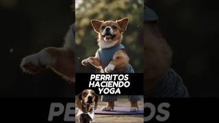 Perritos haciendo Yoga perros amorperruno perroamor [upl. by Swartz]