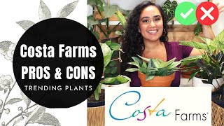 Costa Farms Trending Tropical Plants  Pros amp Cons of Buying Costa Farms Plants from Big Box Stores [upl. by Quentin]