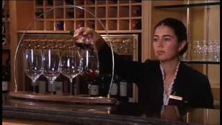 Discover The Wines of Chile Part 1 of 2 [upl. by Margaretta]