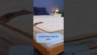 Best Labor Day Mattress Deals 2024  What Are The Best Deals shorts sleep mattress shopping [upl. by Reider]