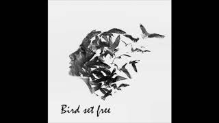 Bird Set Free Sia Acoustic Cover [upl. by Nosille699]