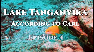 Lake Tanganyika According to Carl episode 4 [upl. by Alleyne]