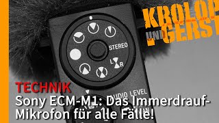 Sony ECMM1 Das ImmerdraufMikrofon für alle Fälle 📷 KrolopampGerst [upl. by Anette]