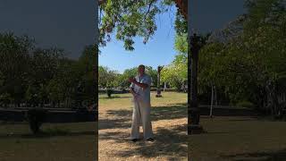 Forest Rock 7 Day Qi Gong Challenge Day 5 Qi Gong for Focus [upl. by Nielsen847]