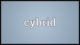 Cybrid Meaning [upl. by Domenic946]