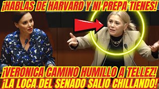 ¡BOFETADON QUE SE LLEVÓ LA LOCA DEL SENADO ¡VERONICA CAMINO LA HIZO TRIZAS [upl. by Hillari]