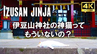 Discover the SECRET Scenery of Japans Atami Izusan Shrine in 4K [upl. by Seilenna]