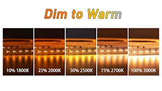 1800K  3000K Dim to Warm LED Strip  Super Lighitng LED [upl. by Laius]