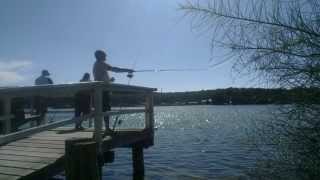 Fishing At Burrill Lake [upl. by Inoliel]